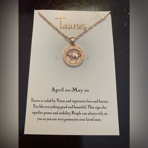 Taurus Pendant on 19” Chain in Rose Gold